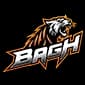 Bagh logo