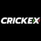 Crickex logo